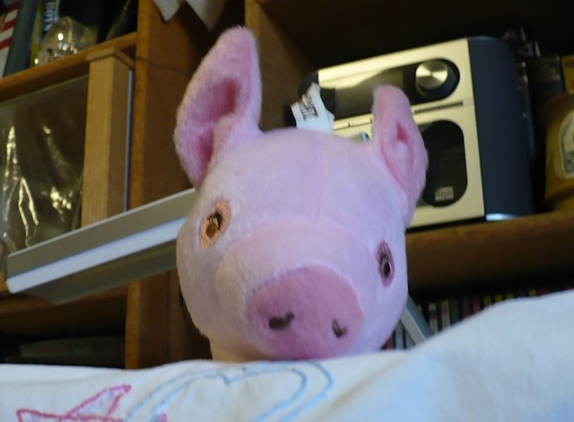 Pigling2012